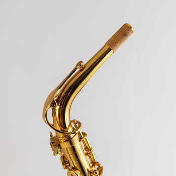 Aventis AAS-310 - saksofon altowy