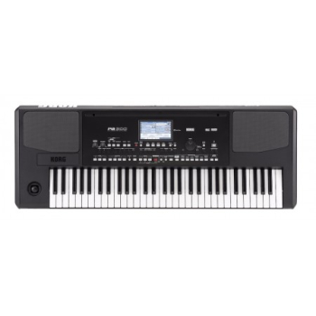 KORG PA300 keyboard