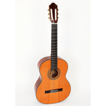 Pablo Vitaso VCG-40C Elev