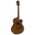 Baton Rouge AR22S/ACE gitara elektroakustyczna