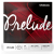 D'ADDARIO Prelude J810 3/4M struny do skrzypiec