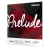 D'ADDARIO Prelude J810 1/4M struny do skrzypiec 1/4