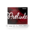 D'ADDARIO Prelude J810 4/4M struny do skrzypiec